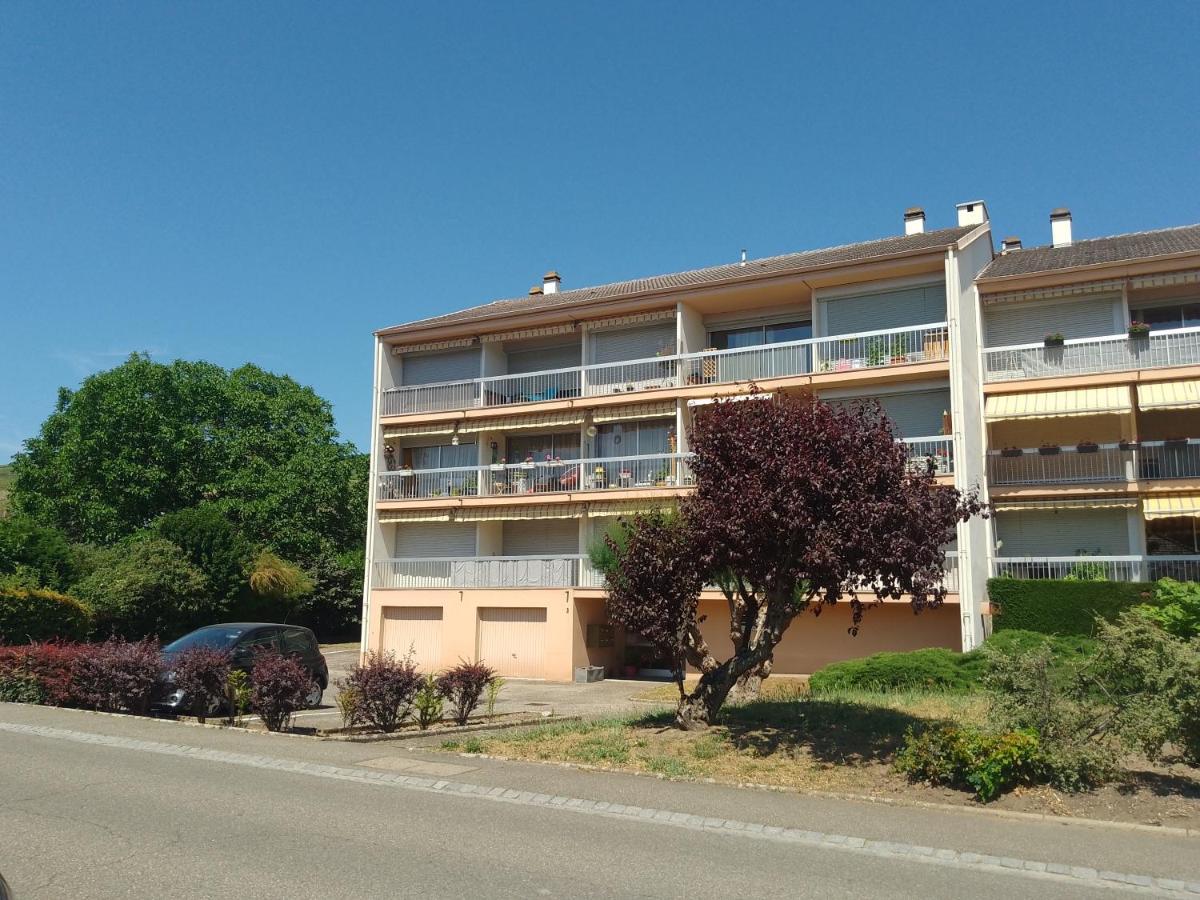 Appartement Avec Balcon : Le Serenity Turckheim Exteriör bild